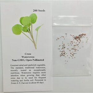 David's Garden Seeds Cress Watercress FBA-3848 (Green) 200 Non-GMO, Heirloom Seeds