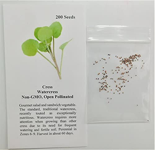 David's Garden Seeds Cress Watercress FBA-3848 (Green) 200 Non-GMO, Heirloom Seeds