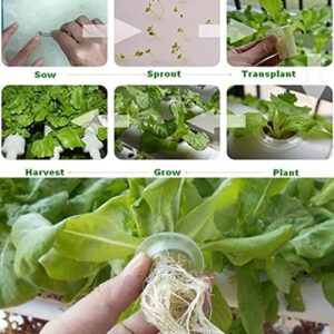 INTBUYING PVC Hydroponics Growing System, 54 Sites 6 Pipes Grow Kit for Leafy Vegetables, 1 Layers Hydroponic Kit with 110V Pump, Hose, Basket, Planting Sponges