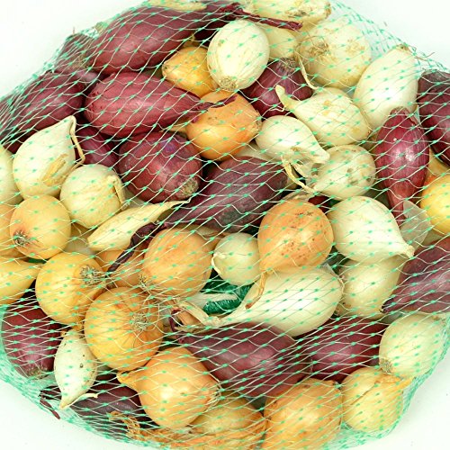 Mixed Red, White and Yellow Onion Sets 8 oz | Naturally Grown Non-GMO Bulbs - Easy to Grow Onion Assortment