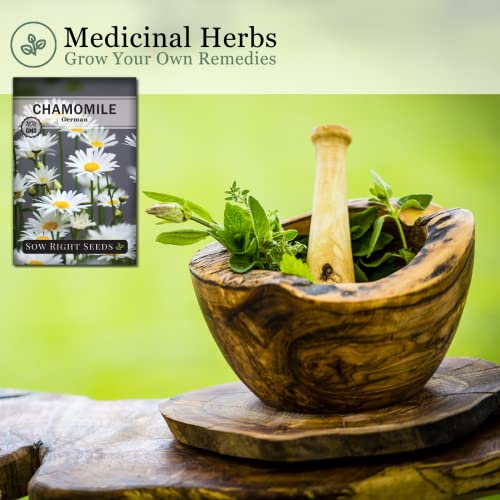 Sow Right Seeds - German Chamomile Seeds for Planting - Non-GMO Heirloom Seeds; Instructions to Plant and Grow an Herbal Tea Garden, Indoors or Outdoor; Great Gardening Gift. (1)