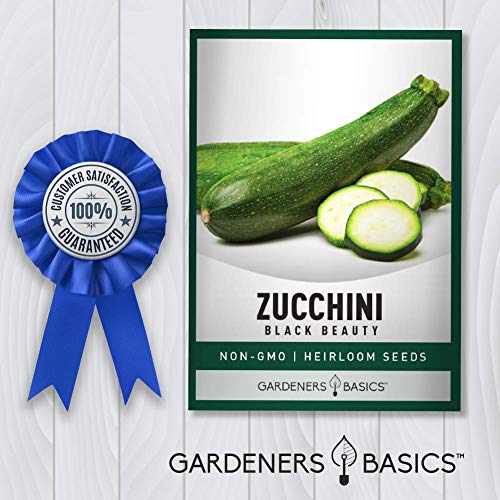 Zucchini Seeds for Planting - Black Beauty Green Heirloom, Non-GMO Vegetable Summer Squash Variety- 3 Grams Seeds Great for Summer Garden by Gardeners Basics