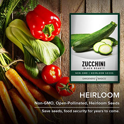 Zucchini Seeds for Planting - Black Beauty Green Heirloom, Non-GMO Vegetable Summer Squash Variety- 3 Grams Seeds Great for Summer Garden by Gardeners Basics