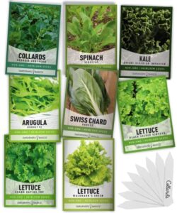 8 leafy garden greens seeds for planting individual packets – arugula, collards, spinach, swiss chard, kale, lettuce, leafy and butter lettuce seeds for your heirloom salad garden by gardeners basics