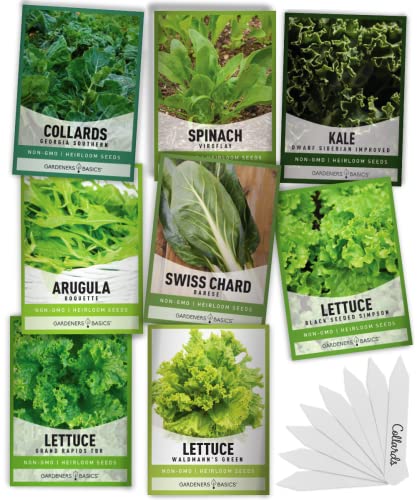 8 Leafy Garden Greens Seeds for Planting Individual Packets - Arugula, Collards, Spinach, Swiss Chard, Kale, Lettuce, Leafy and Butter Lettuce Seeds for Your Heirloom Salad Garden by Gardeners Basics