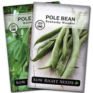 sow right seeds – pole bean seed collection for planting – individual packets kentucky wonder and rattlesnake pole bean, non-gmo heirloom seeds to plant an outdoor home vegetable garden