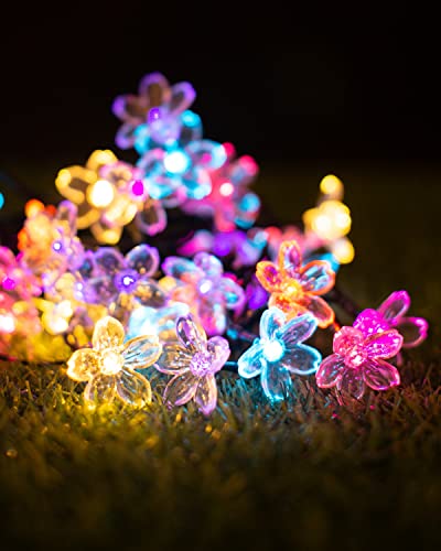 Solar String Lights Flower Garden Lights Outdoor Waterproof Fairy Lights Solar Powered Decorative Cherry Blossom for Camping Outside Balcony Yard Porch Patio Christmas Tree 33ft 50 Led Pack 2