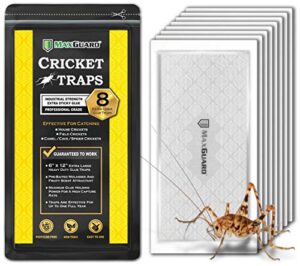 maxguard extra large cricket traps (8 traps) | non-toxic extra sticky glue board pre-baited cricket attractant | trap & kill house crickets, insects, spiders, bugs |