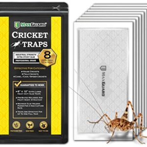 MaxGuard Extra Large Cricket Traps (8 Traps) | Non-Toxic Extra Sticky Glue Board Pre-Baited Cricket Attractant | Trap & Kill House Crickets, Insects, Spiders, Bugs |