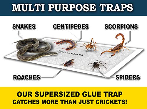 MaxGuard Extra Large Cricket Traps (8 Traps) | Non-Toxic Extra Sticky Glue Board Pre-Baited Cricket Attractant | Trap & Kill House Crickets, Insects, Spiders, Bugs |