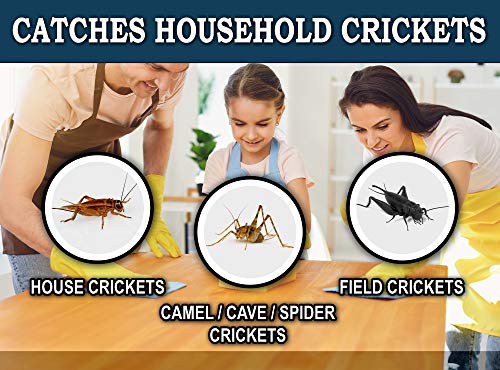 MaxGuard Extra Large Cricket Traps (8 Traps) | Non-Toxic Extra Sticky Glue Board Pre-Baited Cricket Attractant | Trap & Kill House Crickets, Insects, Spiders, Bugs |