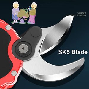 40mm/1.6inch Electric Pruning Shears, Power Pruner for Outdoor Bushes Garden Fruit Tree, 21V Tree Branch Pruner Rechargeable Battery ( Size : 1 X 2AH 21V Lithium Battery )