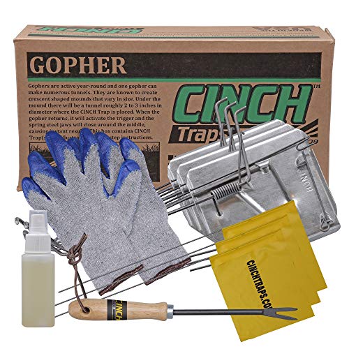 Cinch Gopher Trap with Tunnel Marking Flag, Heavy Duty Reusable Rodent Trap System, Gopher Trapping Kit for Outdoor Garden Lawn with Gardening Gloves and Tunnel Cleaning Tool, 3 Pack, Large