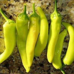 120 Sweet Hungarian Yellow Wax Pepper Seeds for Planting. 1 Gram of Seeds Heirloom Non GMO Garden Vegetable Bulk Survival