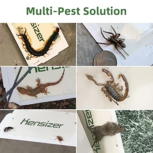 Kensizer 50-Pack Mouse & Insect Glue Traps Trampas para Ratones Pest Trap with Peanut Flavor Catching Mice, Millipedes, Scorpions, and Other Insects Indoor