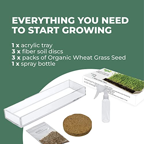 Organic Wheatgrass Growing Kit with Style x 3 – Plant an Amazing Wheat Grass Home Garden, Juice Healthy Shots, Great for Pets, Cats, Dogs. Complete with Stunning Tray and Accessories. (3-Pack)