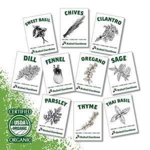 organic herb seeds – certified non gmo heirloom herbs home garden seed for planting indoors and outdoors (10 culinary varieties pack)