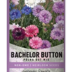 Bachelor Button Seeds for Planting Cornflower (Polka Dot Mix) - Pretty Mix of Bachelors Buttons Seeds Open Pollinated, Non-GMO, Great for Cut Flower Gardens by Gardeners Basics