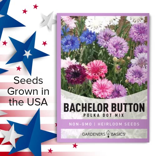 Bachelor Button Seeds for Planting Cornflower (Polka Dot Mix) - Pretty Mix of Bachelors Buttons Seeds Open Pollinated, Non-GMO, Great for Cut Flower Gardens by Gardeners Basics