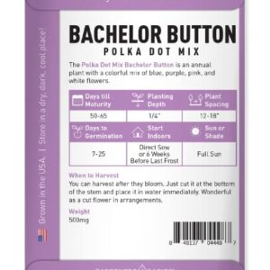 Bachelor Button Seeds for Planting Cornflower (Polka Dot Mix) - Pretty Mix of Bachelors Buttons Seeds Open Pollinated, Non-GMO, Great for Cut Flower Gardens by Gardeners Basics