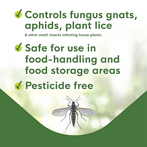 Enoz BioCare Gnat Stix for Fungus Gnats and Aphids, Pest Control for Plants and Greenhouses, Safe & Effective, 12 Pack