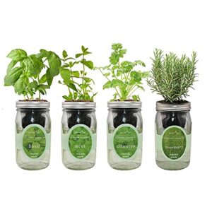 environet hydroponic herb growing kit set, self-watering mason jar herb garden starter kit indoor, grow 4 kinds of herbs from organic seeds (basil, mint, cilantro and rosemary)
