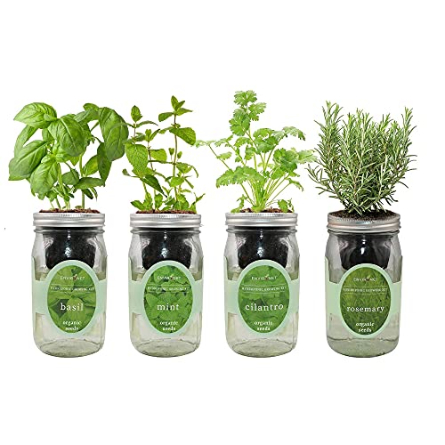 Environet Hydroponic Herb Growing Kit Set, Self-Watering Mason Jar Herb Garden Starter Kit Indoor, Grow 4 Kinds of Herbs from Organic Seeds (Basil, Mint, Cilantro and Rosemary)