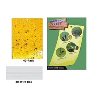 Cheechee 40-Pack Yellow Sticky Traps for Gnats, Fruit Fly Trap for Indoors/Outdoor Flying Plant Insect Killer Like Fungal Gnats, White Flies, Aphids, Leaf Miners - 6x8 in, 40pcs Twist Ties Included