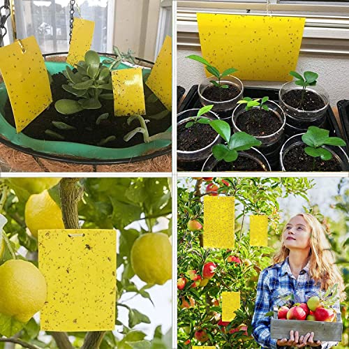 Cheechee 40-Pack Yellow Sticky Traps for Gnats, Fruit Fly Trap for Indoors/Outdoor Flying Plant Insect Killer Like Fungal Gnats, White Flies, Aphids, Leaf Miners - 6x8 in, 40pcs Twist Ties Included