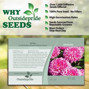 Outsidepride Aster Milady Rose Garden Flower Plant Seed - 1000 Seeds