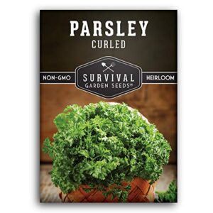 survival garden seeds – curled parsley seed for planting – packet with instructions to plant and grow nutritious curly parsley herb plants in your home vegetable garden – non-gmo heirloom variety