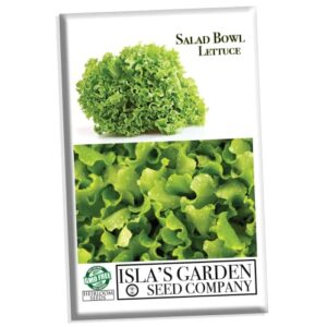salad bowl lettuce seeds for planting, 1000+ heirloom seeds per packet, (isla’s garden seeds), non gmo seeds, botanical name: lactuca sativa, great home garden gift