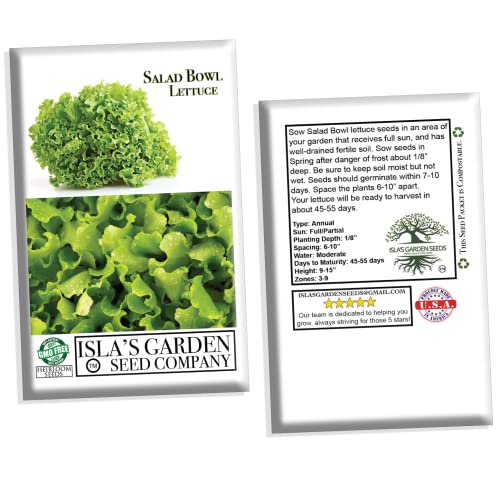 Salad Bowl Lettuce Seeds for Planting, 1000+ Heirloom Seeds Per Packet, (Isla's Garden Seeds), Non GMO Seeds, Botanical Name: Lactuca Sativa, Great Home Garden Gift