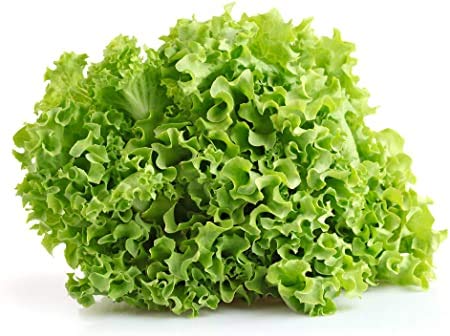 Salad Bowl Lettuce Seeds for Planting, 1000+ Heirloom Seeds Per Packet, (Isla's Garden Seeds), Non GMO Seeds, Botanical Name: Lactuca Sativa, Great Home Garden Gift