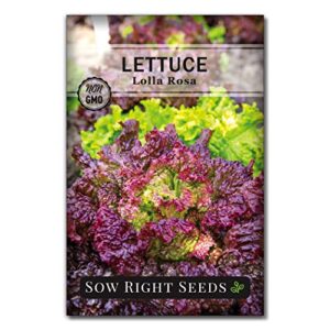 Sow Right Seeds - Lettuce Seed Collection for Planting - Buttercrunch, Giant Caesar, Salad Bowl, and Lolla Rosa Varieties Non-GMO Heirloom Seeds to Plant a Home Vegetable Garden