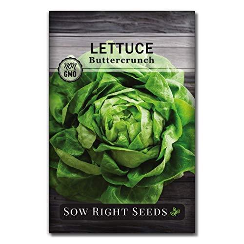 Sow Right Seeds - Lettuce Seed Collection for Planting - Buttercrunch, Giant Caesar, Salad Bowl, and Lolla Rosa Varieties Non-GMO Heirloom Seeds to Plant a Home Vegetable Garden