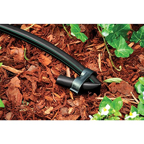 Rain Bird T63-100 Drip Irrigation 1/2" (0.634" OD) Blank Distribution Tubing, 100' Roll, Black