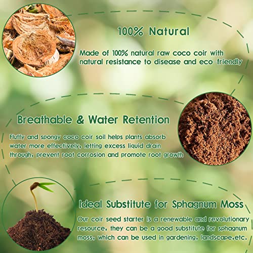 Legigo 2 Pack Premium Coco Coir Brick for Plants- 100% Organic Compressed Coconut Coir Bricks Starting Mix, Coco Coir Fiber Coconut Husk for Planting, Gardening, Potting Soil Substrate, Herbs