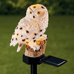 fljzczm owl figurine solar led lights, resin garden waterproof decorations with stake for outdoor yard pathway outside patio lawn decor to scare birds away
