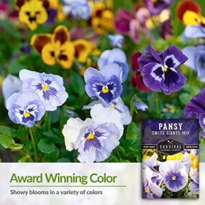 Survival Garden Seeds - Swiss Giant Mix Pansy Seed for Planting - 5 Packs with Instructions to Plant and Grow Beautiful and Edible Pansies in Your Home Vegetable Garden - Non-GMO Heirloom Variety