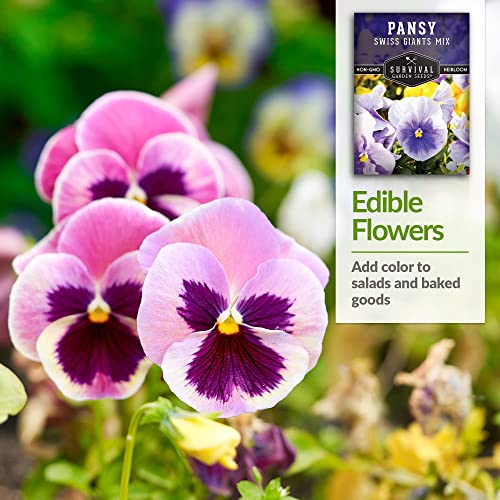 Survival Garden Seeds - Swiss Giant Mix Pansy Seed for Planting - 5 Packs with Instructions to Plant and Grow Beautiful and Edible Pansies in Your Home Vegetable Garden - Non-GMO Heirloom Variety