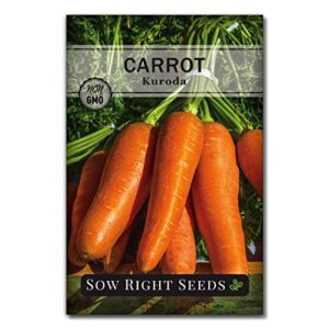 sow right seeds – kuroda carrot seed for planting – non-gmo heirloom packet with instructions to plant a home vegetable garden, great gardening gift (1)