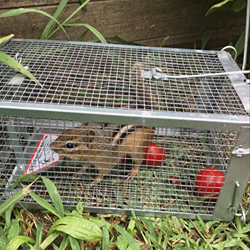 Chipmunk Trap Humane Live Cage Catch and Release Hamsters,Hook Design