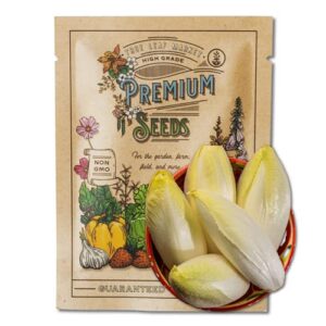 endive seeds for planting – witloof chicory – 2 g 450 seeds – non-gmo, heirloom endive seeds – home garden vegetable seeds – sealed in a beautiful mylar package for extended shelf life