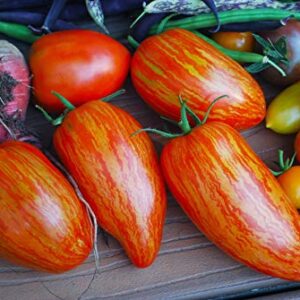 Speckled Roman Tomato Seeds for Planting, 100+ Heirloom Seeds Per Packet, (Isla's Garden Seeds), Non GMO Seeds, Botanical Name: Lycopersicon lycopersicum, Great Home Garden Gift