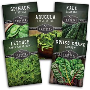 Survival Garden Seeds Greens Collection Seed Vault - Non-GMO Heirloom Seeds - Green Leafy Vegetables - Viroflay Spinach, Arugula, Lacinato Kale, Green Salad Bowl Lettuce & Rainbow Swiss Chard