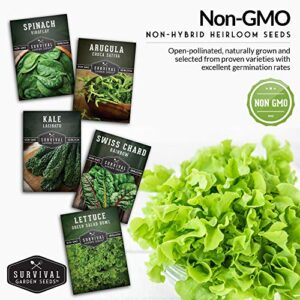 Survival Garden Seeds Greens Collection Seed Vault - Non-GMO Heirloom Seeds - Green Leafy Vegetables - Viroflay Spinach, Arugula, Lacinato Kale, Green Salad Bowl Lettuce & Rainbow Swiss Chard