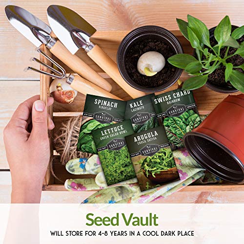 Survival Garden Seeds Greens Collection Seed Vault - Non-GMO Heirloom Seeds - Green Leafy Vegetables - Viroflay Spinach, Arugula, Lacinato Kale, Green Salad Bowl Lettuce & Rainbow Swiss Chard