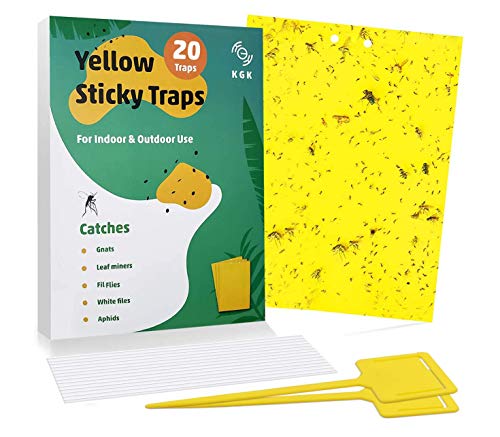 KGK Sticky Traps - 20 Pack, Dual-Sided Yellow Sticky Traps for Fungus Gnats, Aphids, and Other Flying Plant Insects - 6x8 Inches (Twist Ties and Holders Included)