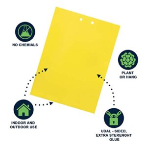 KGK Sticky Traps - 20 Pack, Dual-Sided Yellow Sticky Traps for Fungus Gnats, Aphids, and Other Flying Plant Insects - 6x8 Inches (Twist Ties and Holders Included)